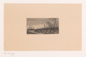 Zandpad door het veld