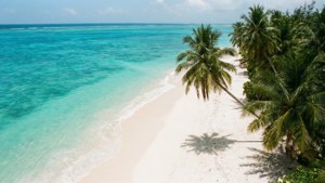 Zanzibar Beach Paradise