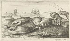 Zeekreeft op het strand