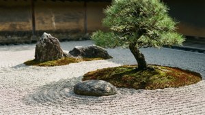 Zen Garden Calm