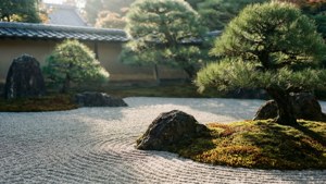 Zen Garden Peace