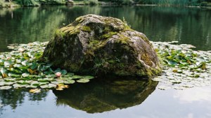 Zen Lake Rock