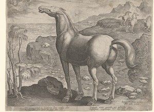 Zephyros bevrucht een merrie