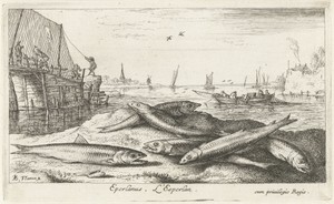 Zes spieringen op het strand
