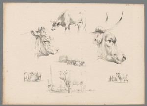 Zeven voorstellingen van runderen