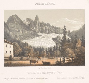 Zicht op Chamonix en de Mont Blanc vanuit het noorden