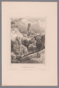Zicht op de kathedraal Sainte-Cécile te Albi
