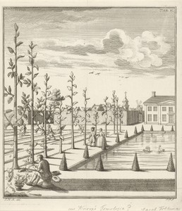 Zicht op een aangelegde tuin