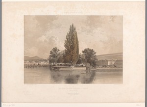 Zicht op het Île Rousseau op de Rhône in Genève