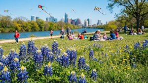 Zilker Park Spring