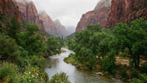 Zion Canyon River Serenity