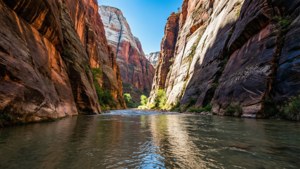 Zion Narrows River View