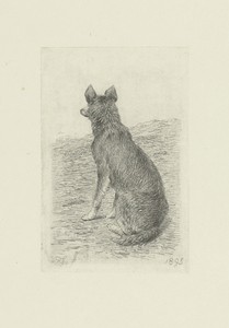 Zittend hond van achter gezien