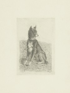 Zittende hond met kop naar rechts