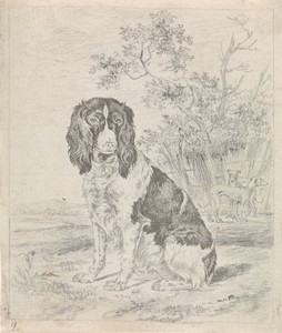 Zittende patrijshond