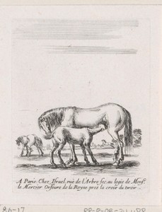 Zogend paard met veulen in een landschap met meer paarden