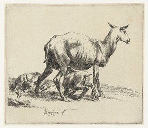 Zogend schaap met lammeren