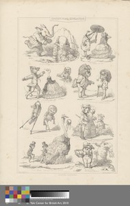 Zoological Education