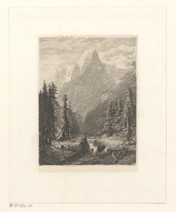 Zwitsers berglandschap met dennenbomen aan een beek